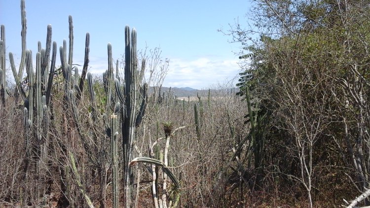 Puerto Cayo,Ecuador